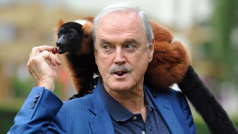 خنفساء "غروفيلينوس ليورنادو دي كابريو"