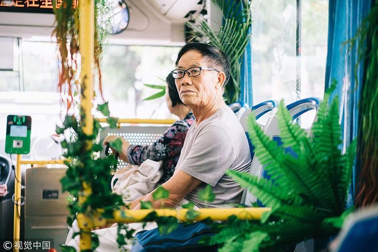 الحافلات في الصين تتحول إلى حديقة متنقلة