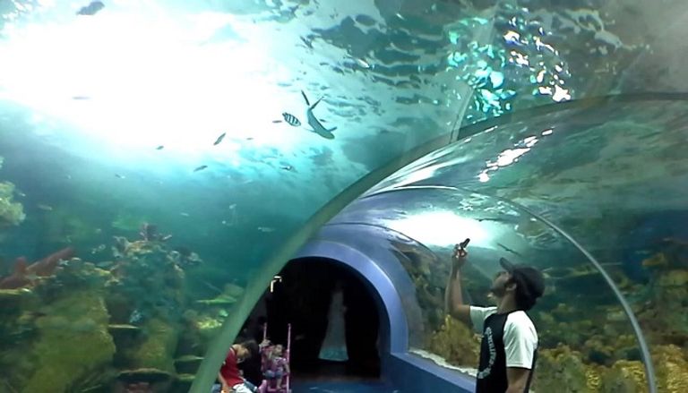 فقيه أكواريوم