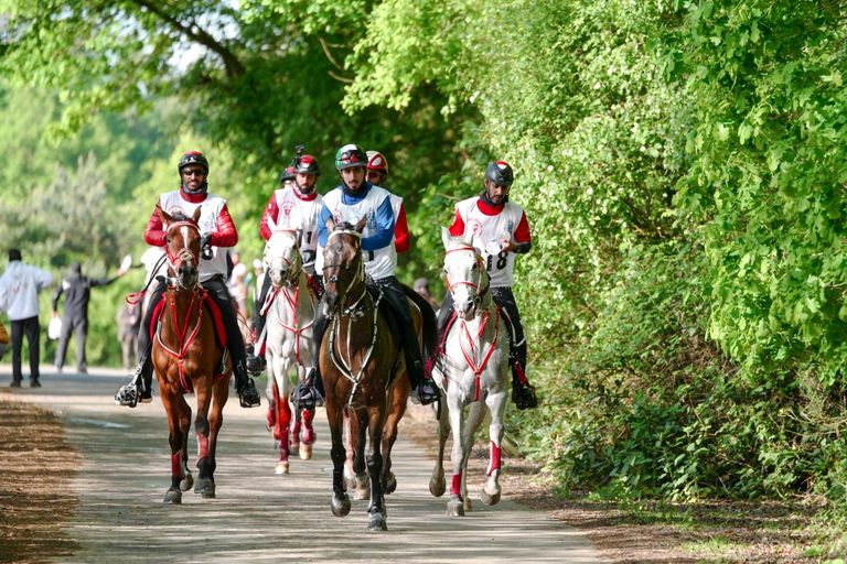 محمد بن راشد مع ملكة بريطانيا بحضور ملك البحرين