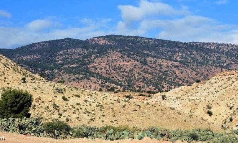 محمود درويش