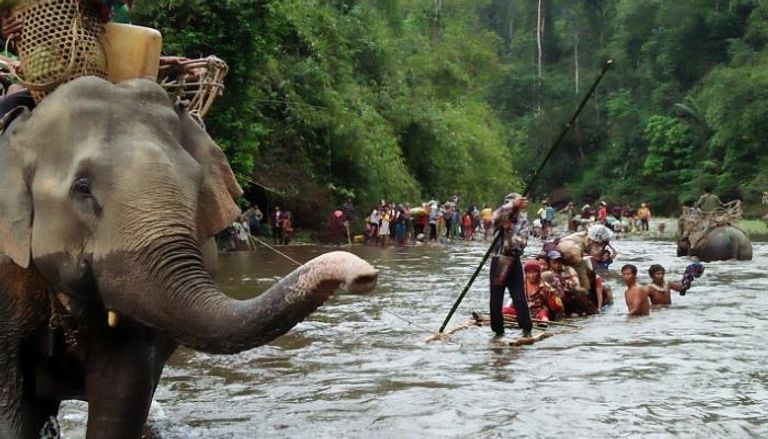 الأفيال تحمل الأطفال والعجائز في ميانمار
