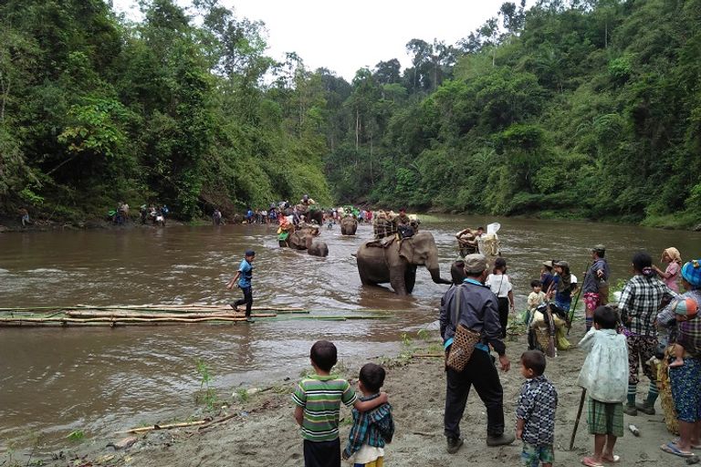 الأفيال تحمل الأطفال والعجائز في ميانمار