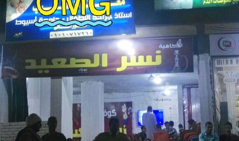 بوستر مسلسل نسر الصعيد