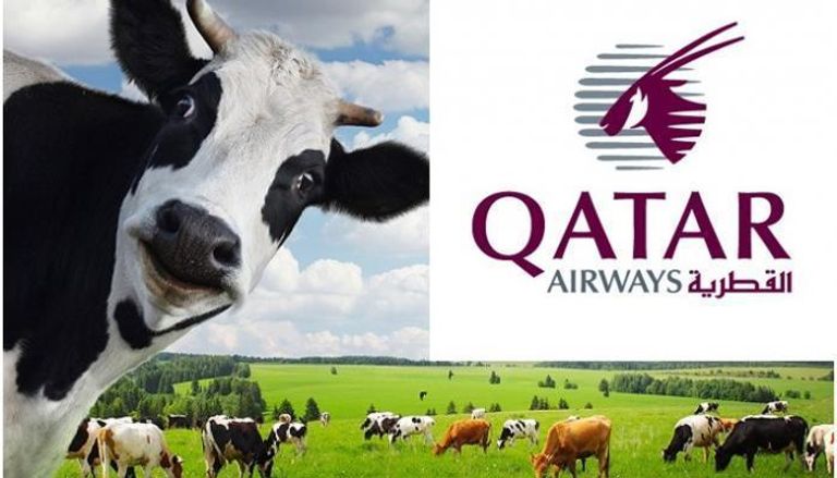 أبقار لدعم قطر في أزمتها