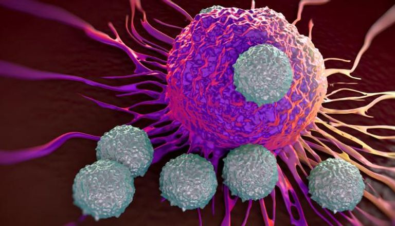 اكتشاف جديد يمنع تكاثر الخلايا السرطانية بشكل منضبط