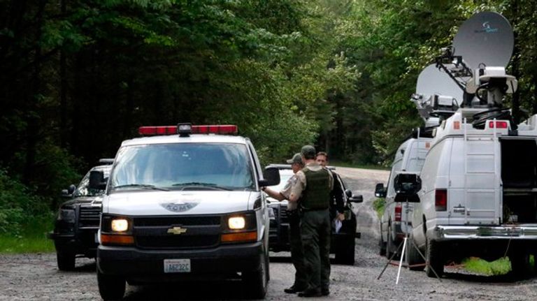 أسد جبلي أمريكي