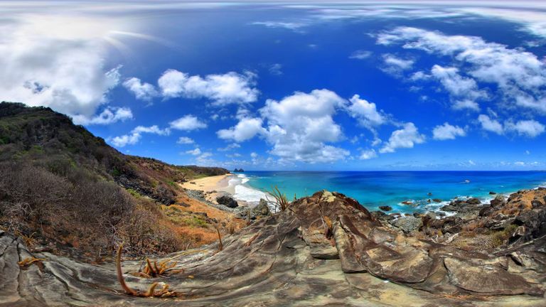 الحظر لعدم وجود جناح ولادة