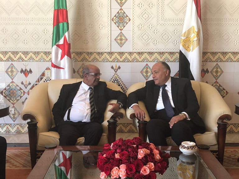 وزير الخارجية المصري سامح شكري مع نظيره الجزائري عبد القادر مساهل