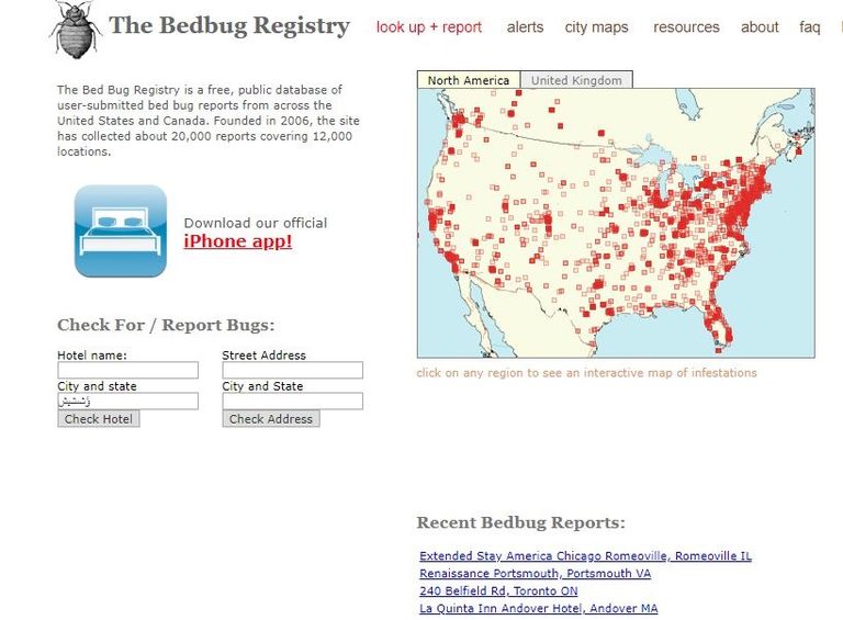 عامل يقوم بإبادة الحشرات في شقة كندية