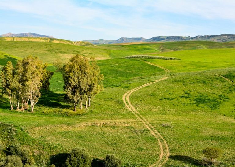مدينة مليانة قلب مدينة مليانة الجزائرية