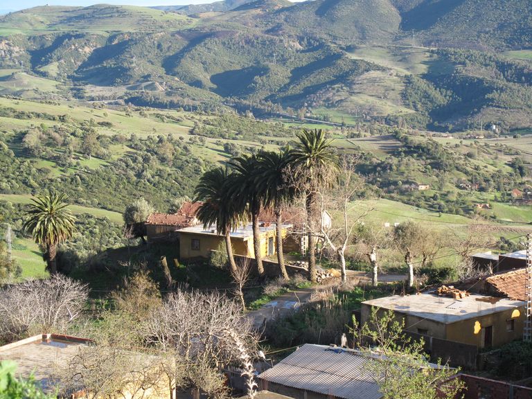 ضواحي مدينة مليانة  قلب مدينة مليانة الجزائرية