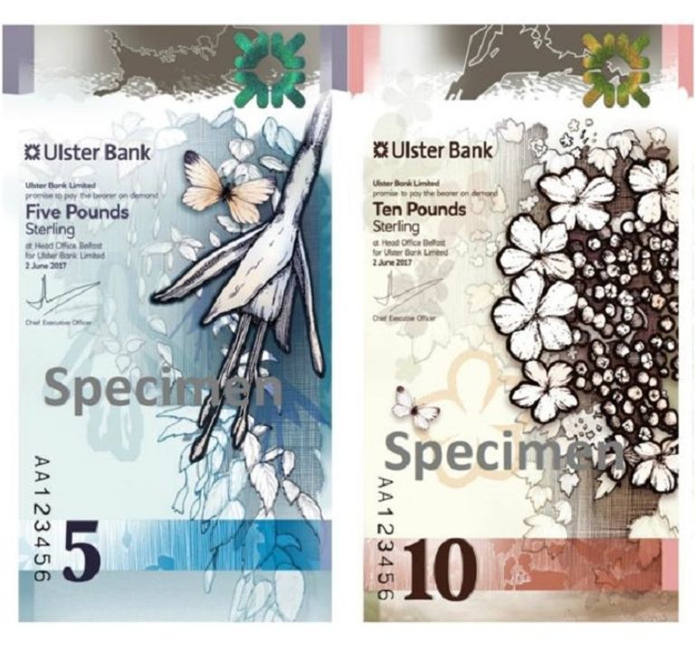 العملات الورقية الطولية