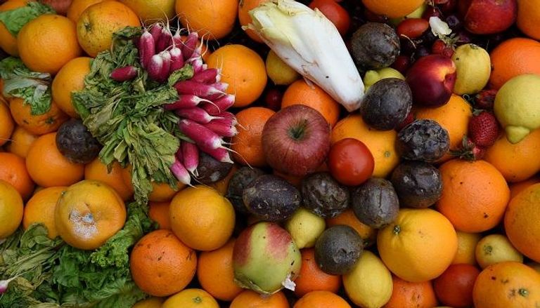 الإمارات تحظر استيراد الخضروات والفواكه من ولاية كيرالا الهندية