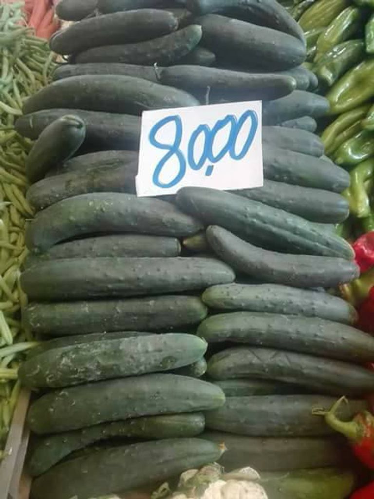 ارتفاع أسعار الخضر والفواكه في الجزائر ارتفاع أسعار الخضر والفواكه في الجزائر