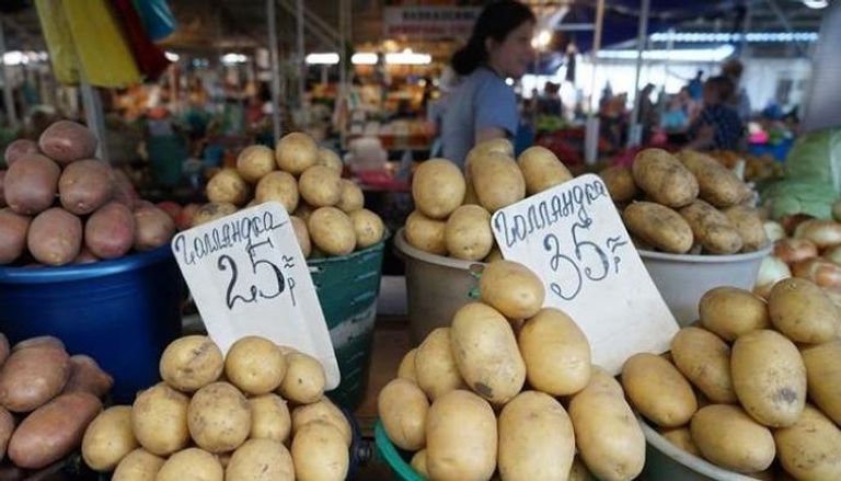 روسيا ترفع حظر استيراد البطاطس المصرية 