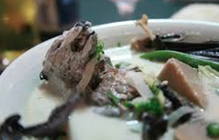 أغرب الأطعمة في العالم