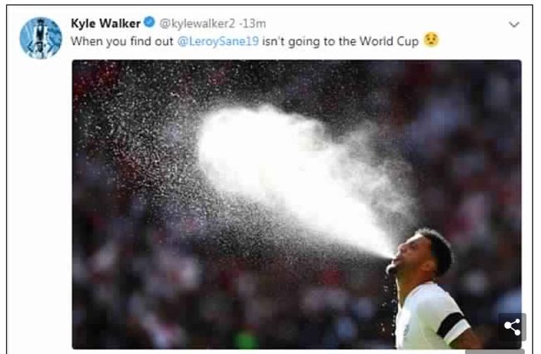 كيلي والكر ليروي ساني