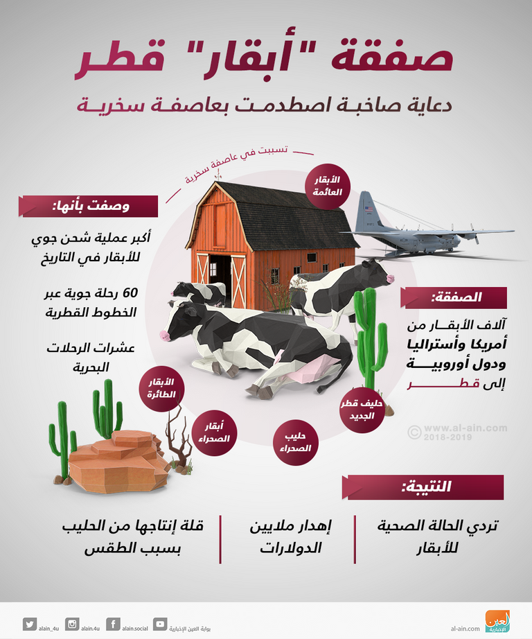 قطر تخسر الملايين في صفقات أبقار فاشلة