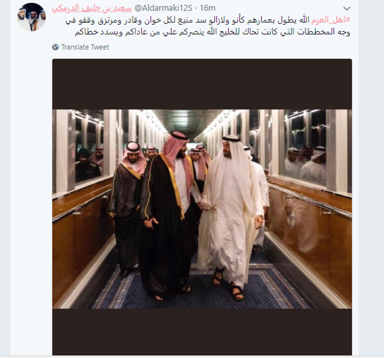 ولي العهد السعودي يستقبل الشيخ محمد بن زايد آل نهيان