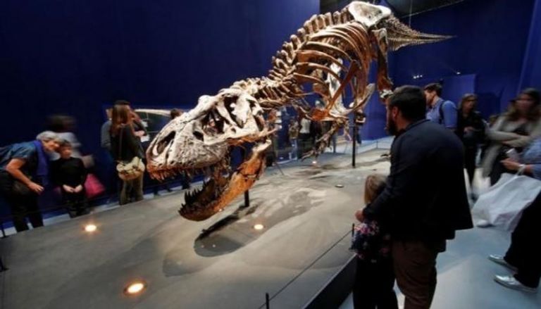 هيكل الديناصور المعروض في متحف التاريخ الطبيعي بباريس