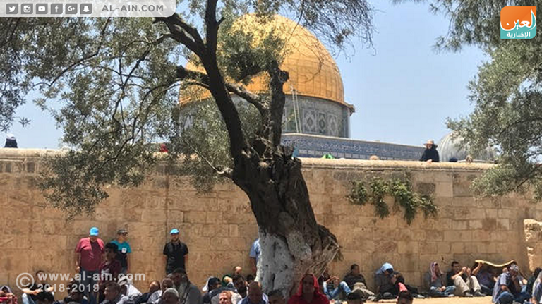 الآلاف يؤدون صلاة الجمعة في الأقصى