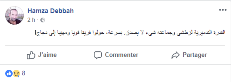 تعليقات جماهير الجزائر