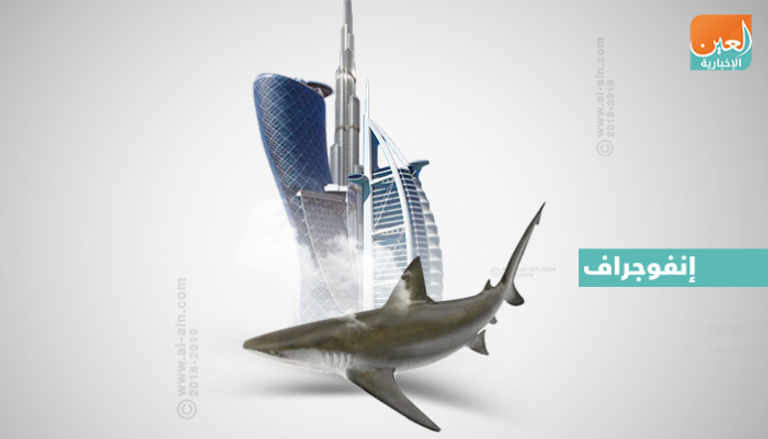 الخطة الوطنية للمحافظة على أسماك القرش في الإمارات