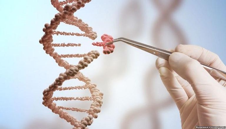 تعديل الجينات قد يؤدي للإصابة بالسرطان