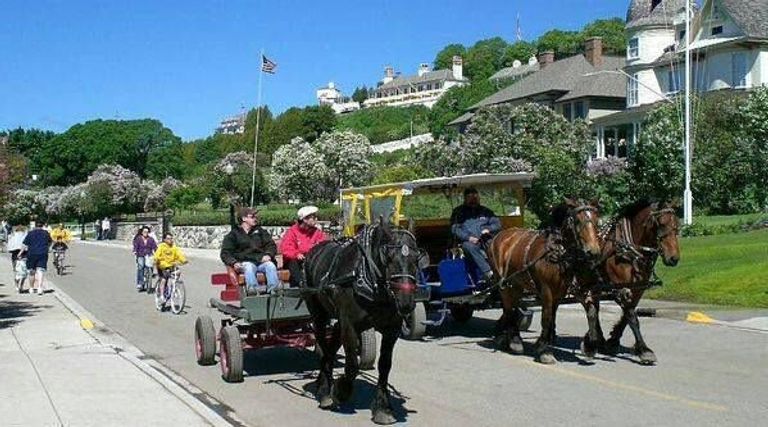 7 مدن خاوية من السيارات