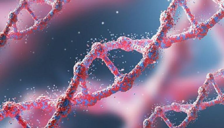 الحمض النووي للإنسان