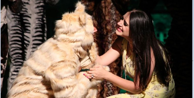 العرض المسرحي "القطط"