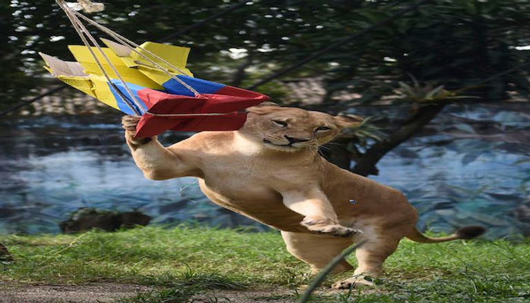 انطلاق كأس العالم 2018 في روسيا