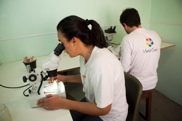 سحب عينات من دم الأطفال لتشخيص مرض شاغاس