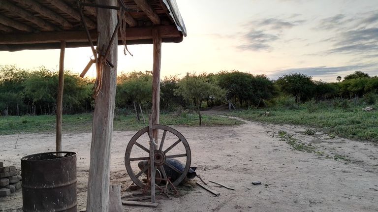 سحب عينات من دم الأطفال لتشخيص مرض شاغاس