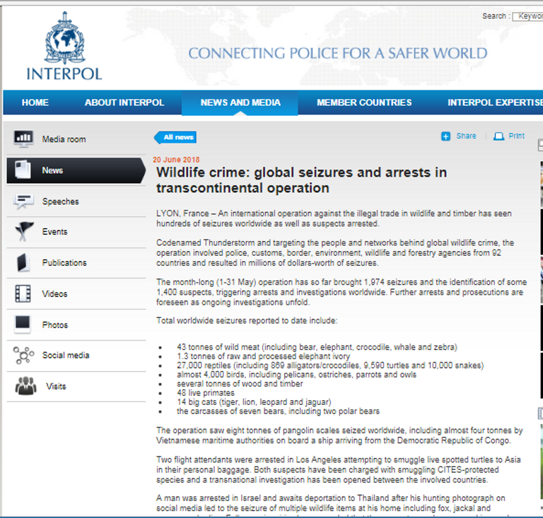 منظمة الإنتربول تعثر على طيور برية نادرة