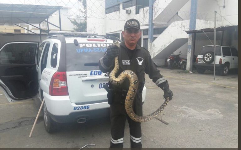 منظمة الإنتربول تعثر على طيور برية نادرة