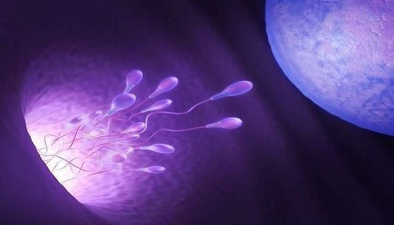 اكتشاف بكتيريا تحدد قدرة الرجال على الإنجاب