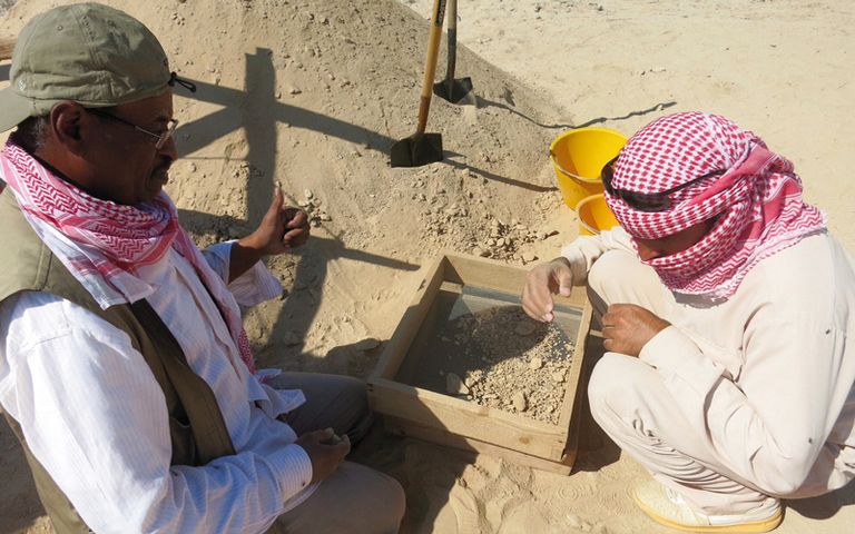 جانب من أعمال البحث والتنقيب في جزيرة مروح - أرشيفية