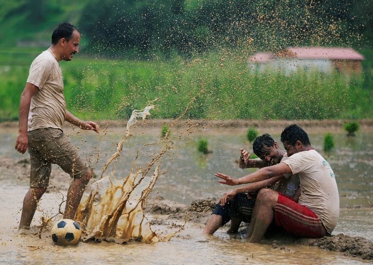 نيبال تحتفل بيوم الأرز الوطني