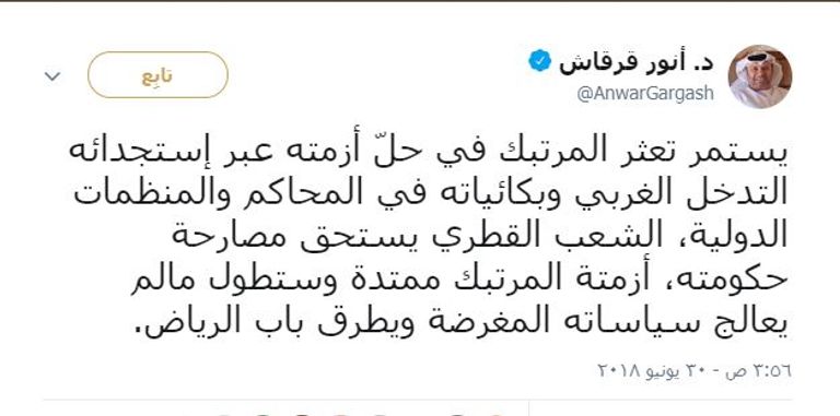 الدكتور أنور بن محمد قرقاش، وزير الدولة الإماراتي للشؤون الخارجية