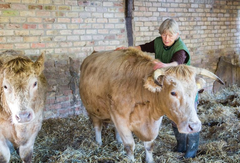 روزاموند يونج أثناء تجولهما بمزرعة كايتس نست فارم