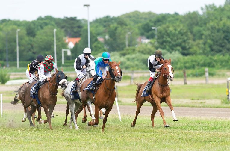 سباق كأس رئيس دولة الإمارات للخيول العربية الأصيلة