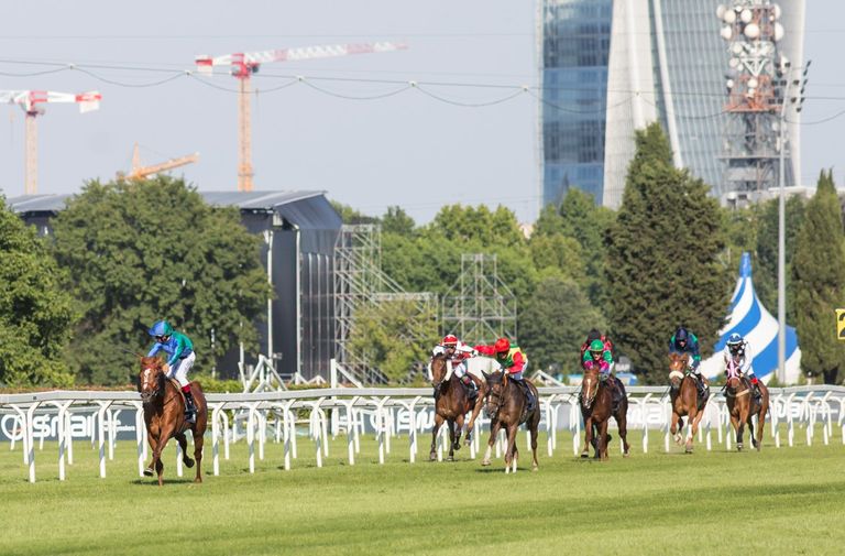 سباق كأس رئيس دولة الإمارات للخيول العربية الأصيلة