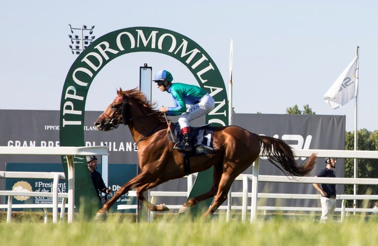 سباق كأس رئيس دولة الإمارات للخيول العربية الأصيلة