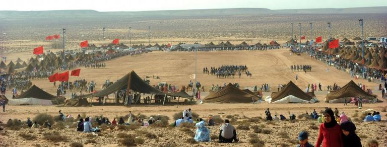 رجال القبائل الصحراوية يؤدون الفانتازيا المغربية في طانطان