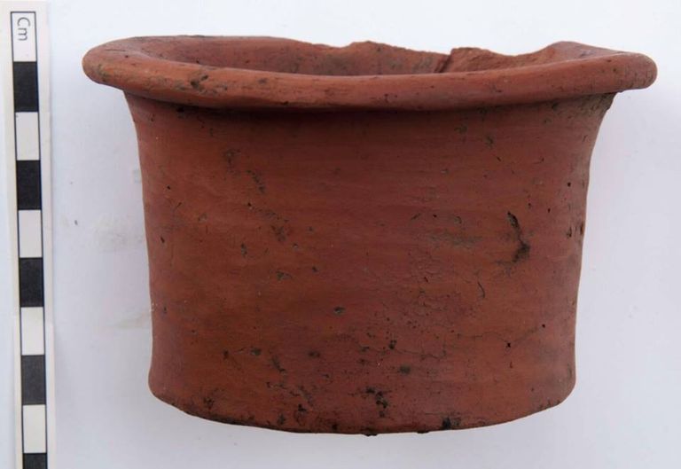 هيكل عظمي لكلب صيد من فصيلة "السلوقية" يعود لعصر ما قبل الأسرات