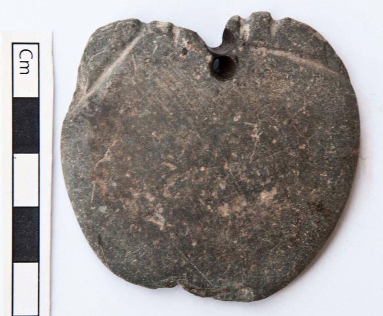 هيكل عظمي لكلب صيد من فصيلة "السلوقية" يعود لعصر ما قبل الأسرات