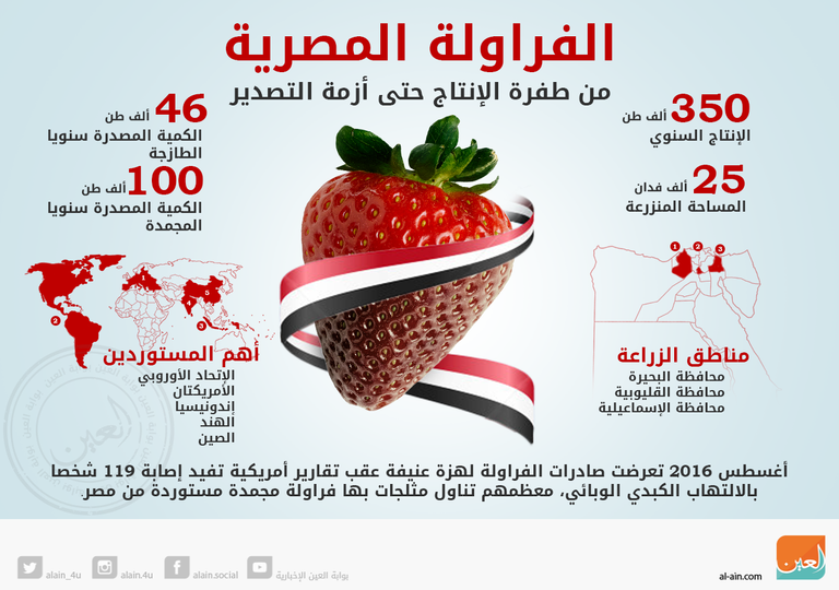 إلغاء الفحوصات الإضافية على الفراولة المصرية