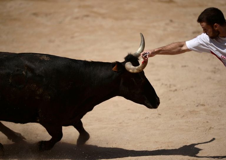 5 مصابين بأول أيام الركض مع الثيران في بامبلونا